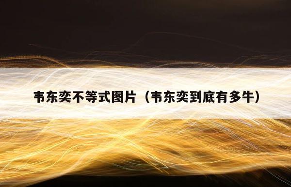 韦东奕不等式图片（韦东奕到底有多牛） 第1张