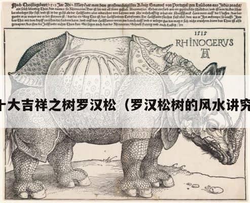 十大吉祥之树罗汉松（罗汉松树的风水讲究） 第1张