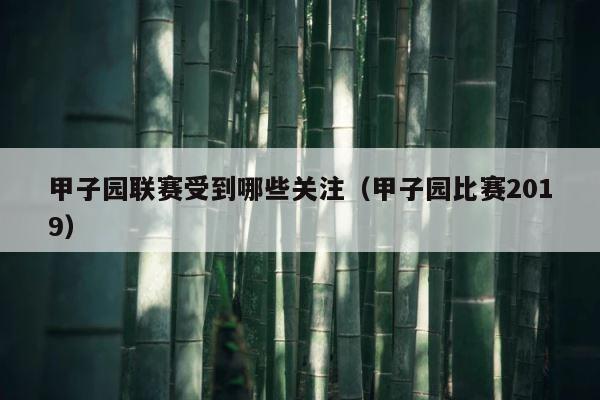 甲子园联赛受到哪些关注（甲子园比赛2019） 第1张