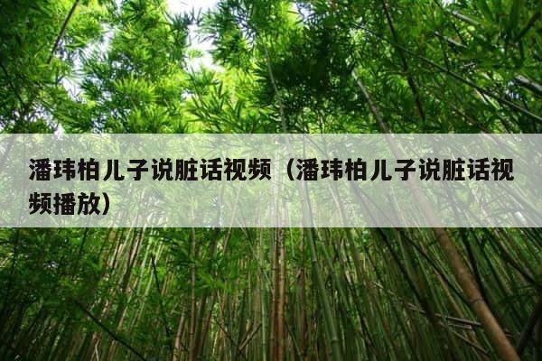 潘玮柏儿子说脏话视频（潘玮柏儿子说脏话视频播放） 第1张