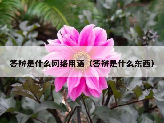 答辩是什么网络用语（答辩是什么东西） 第1张