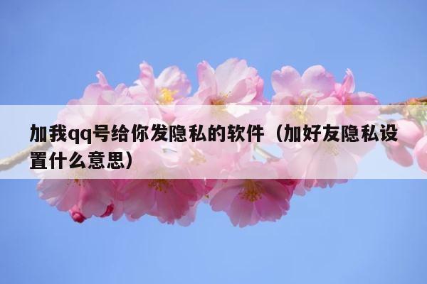 加我qq号给你发隐私的软件（加好友隐私设置什么意思） 第1张