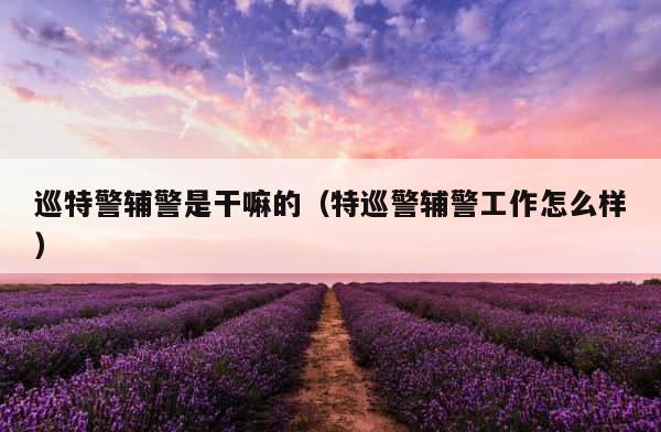 巡特警辅警是干嘛的（特巡警辅警工作怎么样） 第1张