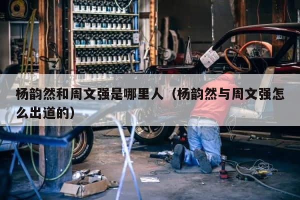 杨韵然和周文强是哪里人（杨韵然与周文强怎么出道的） 第1张