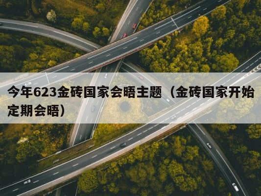 今年623金砖国家会晤主题（金砖国家开始定期会晤） 第1张
