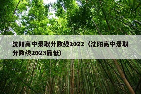 沈阳高中录取分数线2022（沈阳高中录取分数线2023最低） 第1张