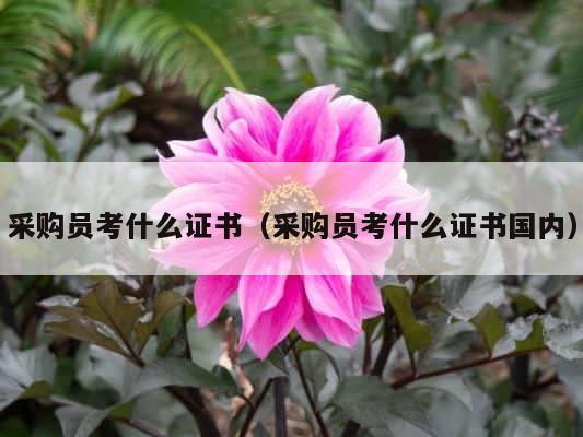 采购员考什么证书（采购员考什么证书国内） 第1张