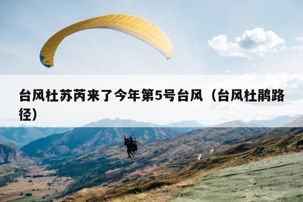 台风杜苏芮来了今年第5号台风（台风杜鹃路径） 第1张
