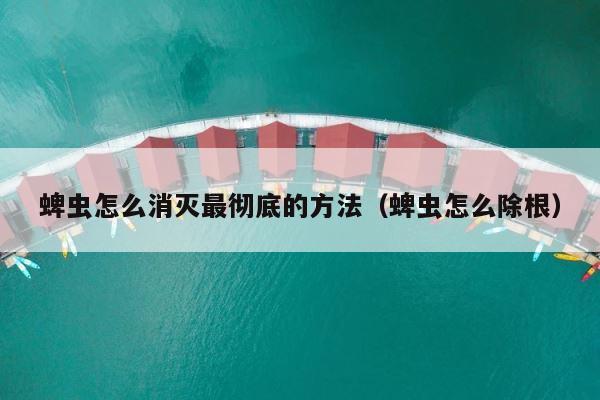 蜱虫怎么消灭最彻底的方法（蜱虫怎么除根） 第1张