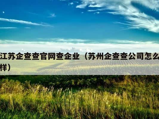 江苏企查查官网查企业（苏州企查查公司怎么样） 第1张