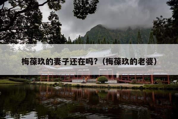梅葆玖的妻子还在吗?（梅葆玖的老婆） 第1张