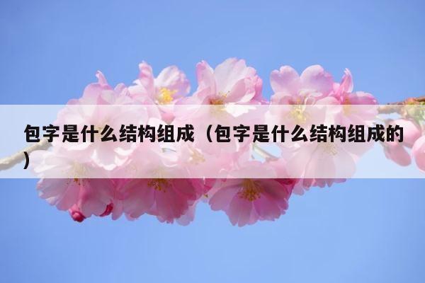 包字是什么结构组成（包字是什么结构组成的） 第1张