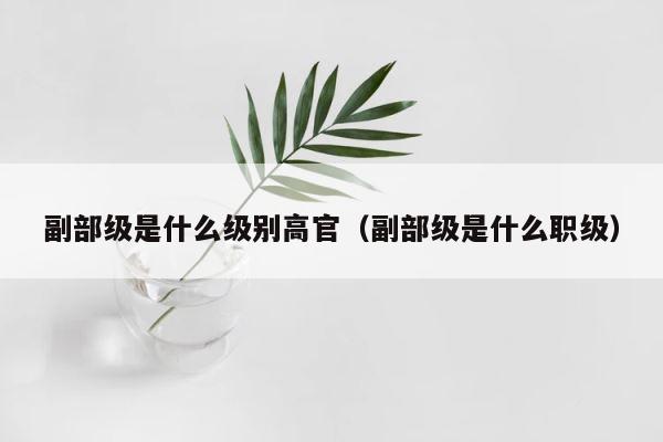 副部级是什么级别高官（副部级是什么职级） 第1张