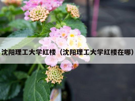 沈阳理工大学红楼（沈阳理工大学红楼在哪） 第1张