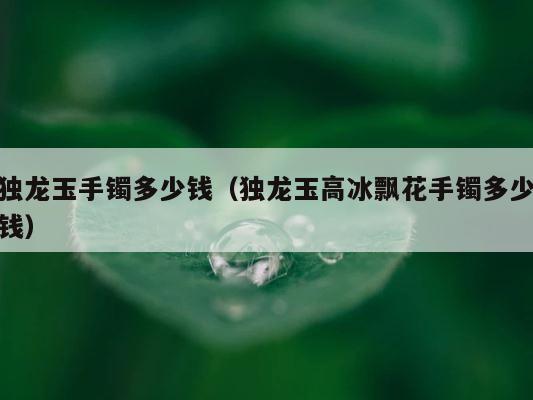 独龙玉手镯多少钱（独龙玉高冰飘花手镯多少钱） 第1张