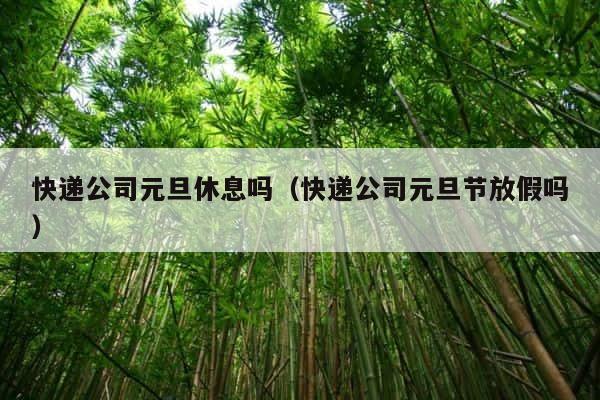 快递公司元旦休息吗（快递公司元旦节放假吗） 第1张
