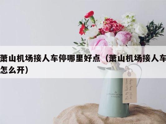 萧山机场接人车停哪里好点（萧山机场接人车怎么开） 第1张