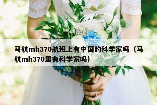 马航mh370航班上有中国的科学家吗（马航mh370里有科学家吗） 第1张