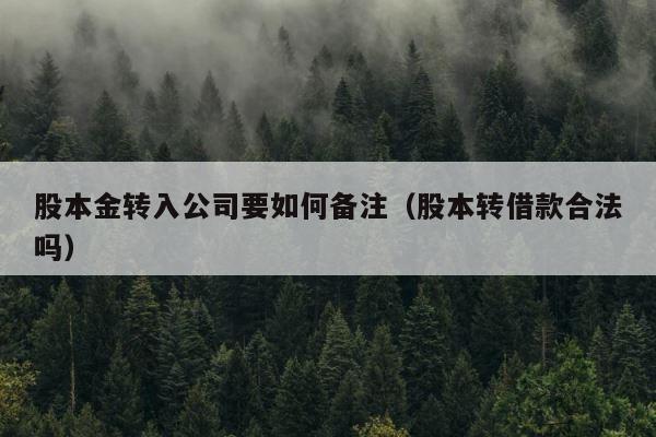 股本金转入公司要如何备注（股本转借款合法吗） 第1张