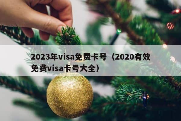 2023年visa免费卡号（2020有效免费visa卡号大全） 第1张