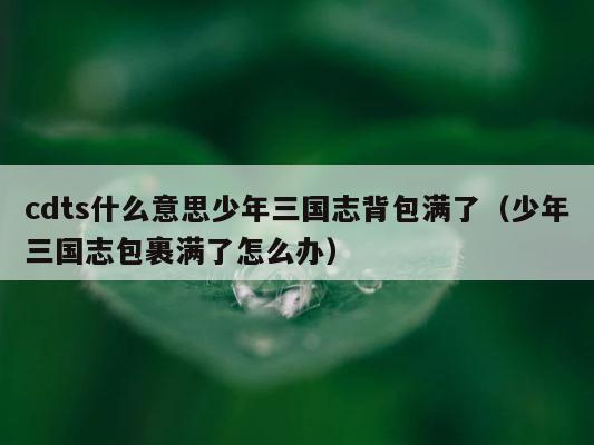 cdts什么意思少年三国志背包满了（少年三国志包裹满了怎么办） 第1张