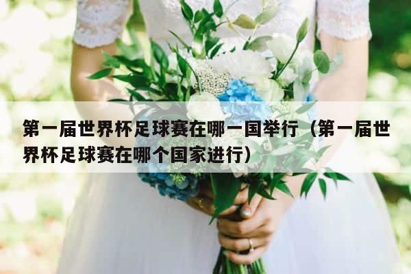 第一届世界杯足球赛在哪一国举行（第一届世界杯足球赛在哪个国家进行） 第1张