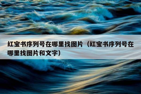 红宝书序列号在哪里找图片（红宝书序列号在哪里找图片和文字） 第1张