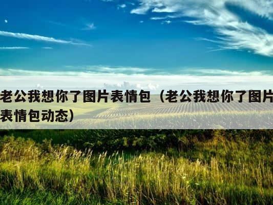老公我想你了图片表情包（老公我想你了图片表情包动态） 第1张