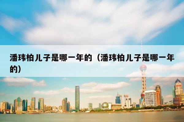 潘玮柏儿子是哪一年的（潘玮柏儿子是哪一年的） 第1张
