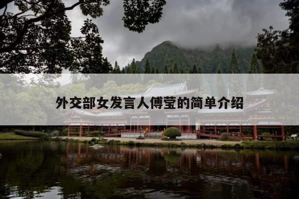 外交部女发言人傅莹的简单介绍 第1张