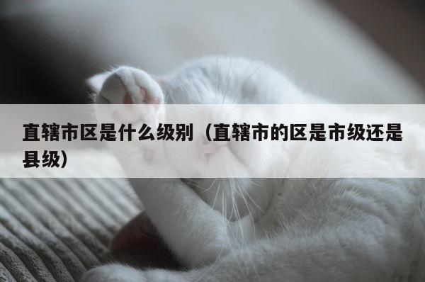 直辖市区是什么级别（直辖市的区是市级还是县级） 第1张