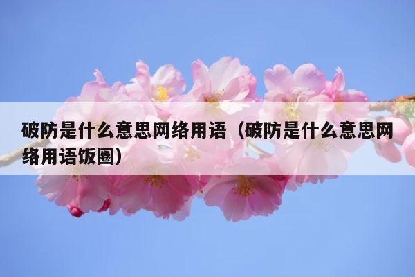 破防是什么意思网络用语（破防是什么意思网络用语饭圈） 第1张