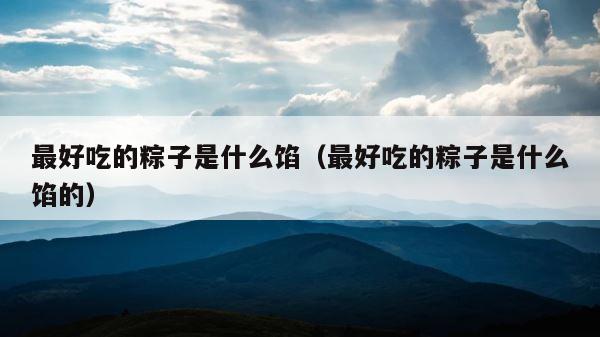 最好吃的粽子是什么馅（最好吃的粽子是什么馅的） 第1张