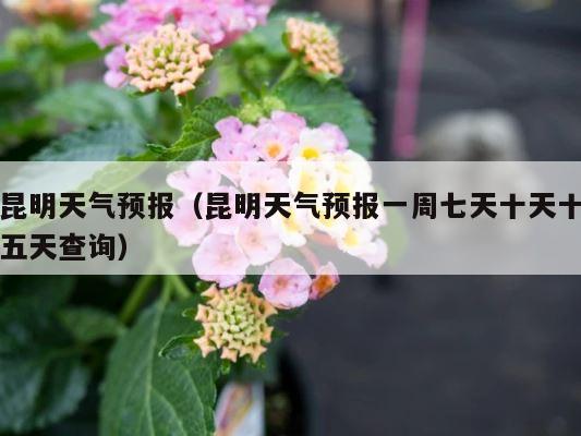 昆明天气预报（昆明天气预报一周七天十天十五天查询） 第1张