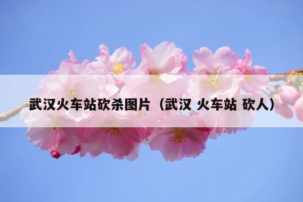 武汉火车站砍杀图片（武汉 火车站 砍人） 第1张