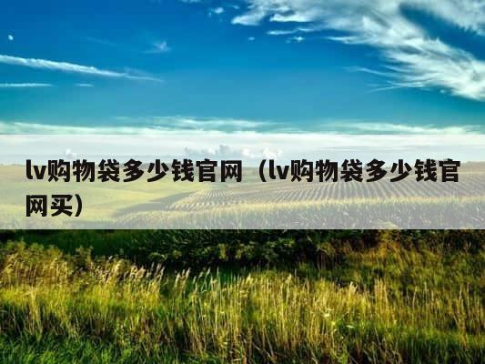 lv购物袋多少钱官网（lv购物袋多少钱官网买） 第1张