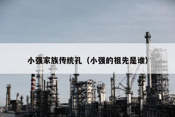 小强家族传统孔（小强的祖先是谁） 第1张
