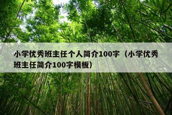小学优秀班主任个人简介100字（小学优秀班主任简介100字模板） 第1张