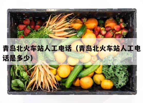 青岛北火车站人工电话（青岛北火车站人工电话是多少） 第1张