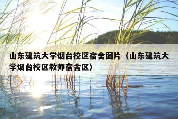 山东建筑大学烟台校区宿舍图片（山东建筑大学烟台校区教师宿舍区） 第1张