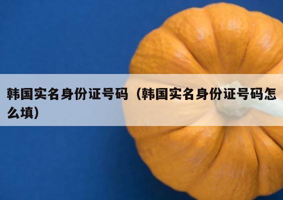 韩国实名身份证号码（韩国实名身份证号码怎么填） 第1张