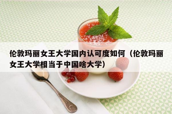 伦敦玛丽女王大学国内认可度如何（伦敦玛丽女王大学相当于中国啥大学） 第1张