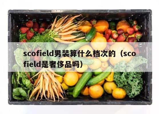 scofield男装算什么档次的（scofield是奢侈品吗） 第1张