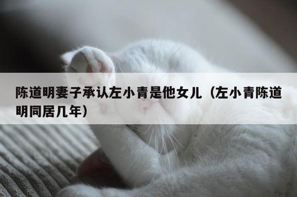 陈道明妻子承认左小青是他女儿（左小青陈道明同居几年） 第1张