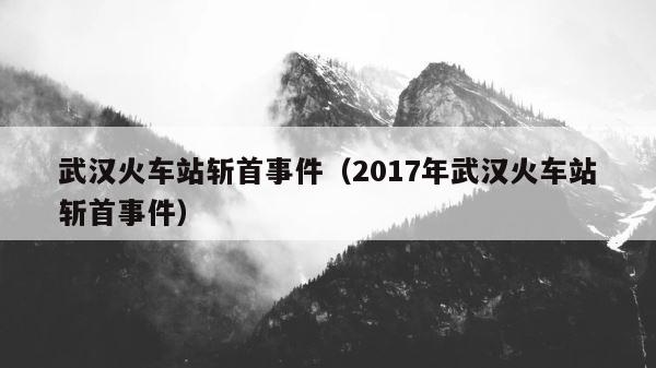 武汉火车站斩首事件（2017年武汉火车站斩首事件） 第1张