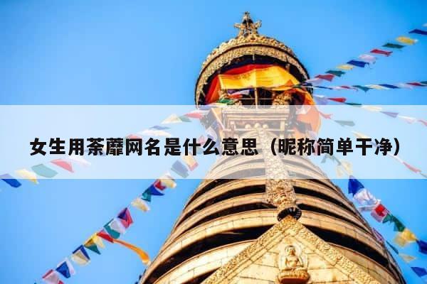 女生用荼蘼网名是什么意思（昵称简单干净） 第1张