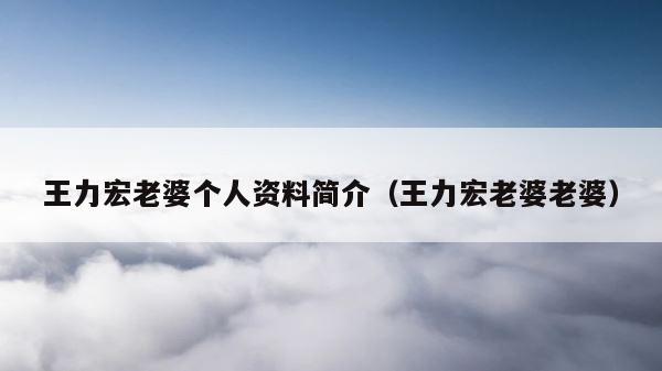 王力宏老婆个人资料简介（王力宏老婆老婆） 第1张