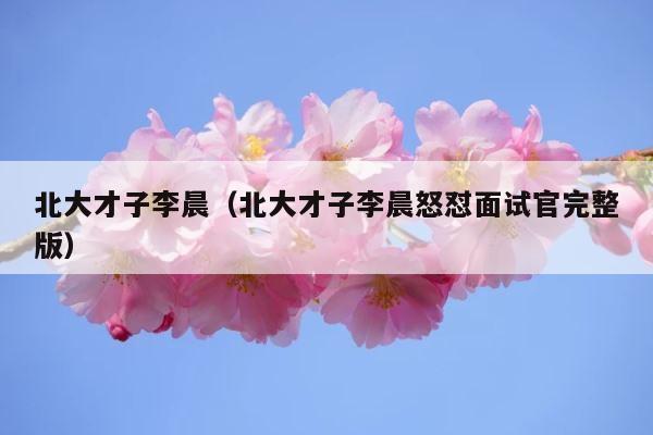 北大才子李晨（北大才子李晨怒怼面试官完整版） 第1张
