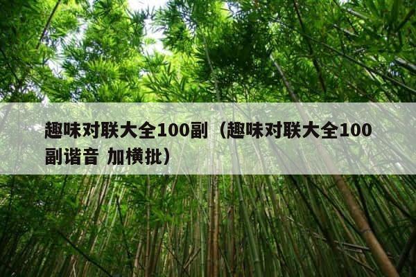 趣味对联大全100副（趣味对联大全100副谐音 加横批） 第1张