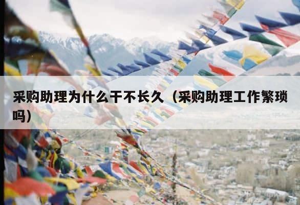 采购助理为什么干不长久（采购助理工作繁琐吗） 第1张